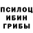 Галлюциногенные грибы Psilocybe popikum