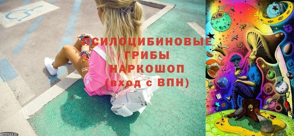 прущие крисы Горно-Алтайск
