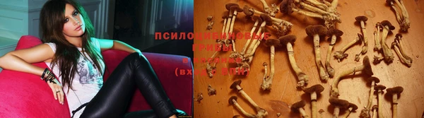 прущие крисы Горно-Алтайск