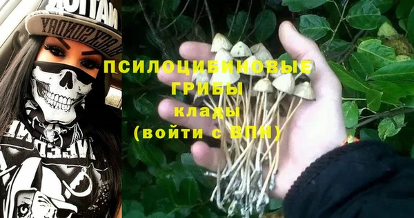 амф Горнозаводск
