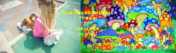 прущие крисы Горно-Алтайск