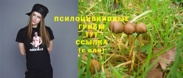 прущие крисы Горно-Алтайск